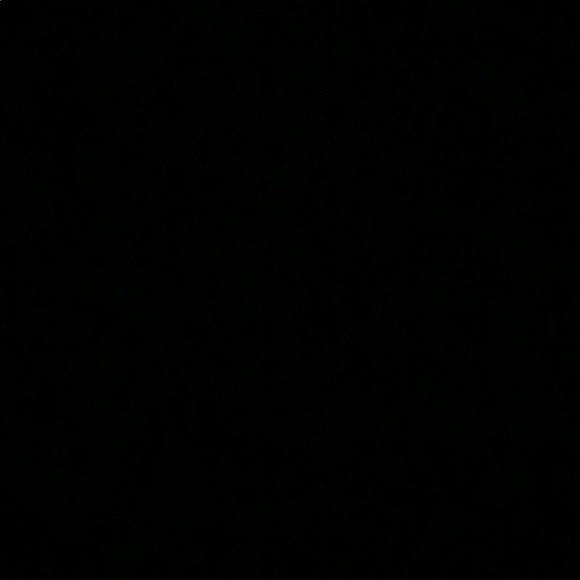 Meet your Posher, Izzy - Picture 1 of 1